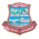 - Offset Printed Lapel Pin 20 -